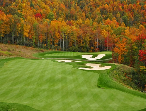 a golf course with trees in the background