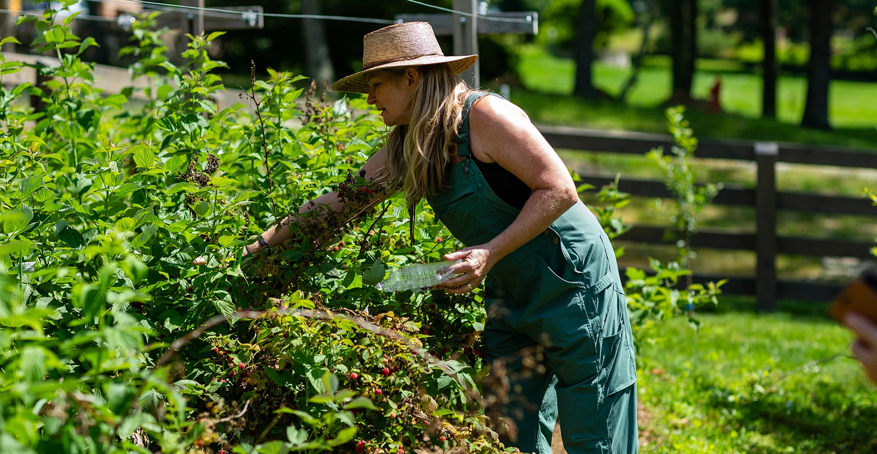 a woman in overalls watering plants