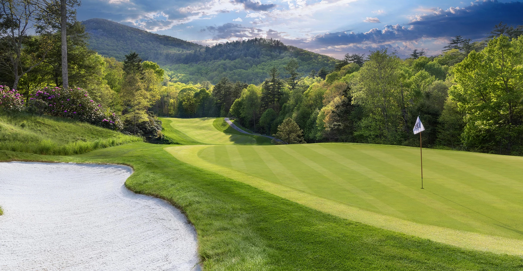 a golf course with a path and trees