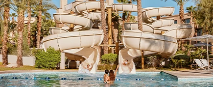 people in a pool with water slides