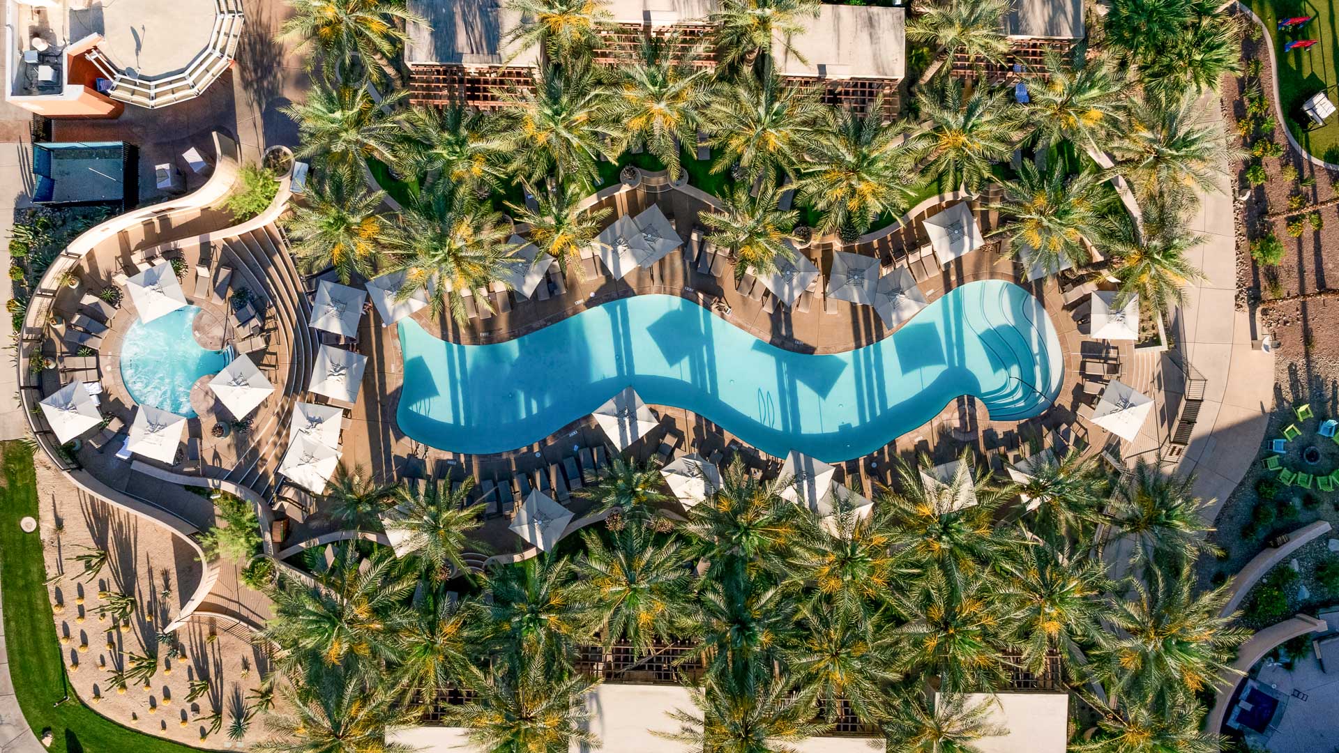 a pool surrounded by palm trees