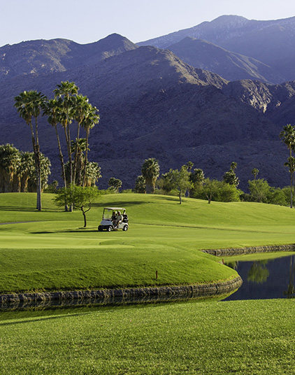 a golf cart on a golf course