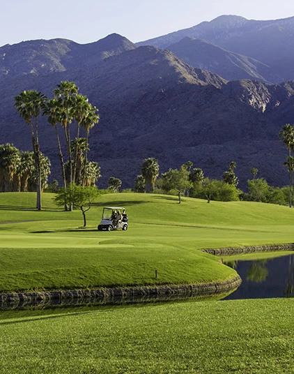 a golf cart on a golf course