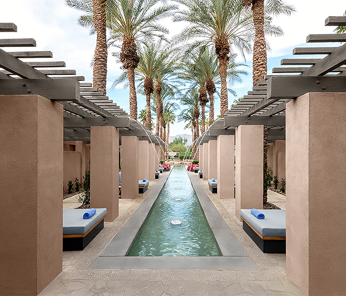 a pool with water and palm trees