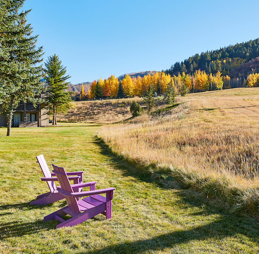 a purple bench in a grassy field