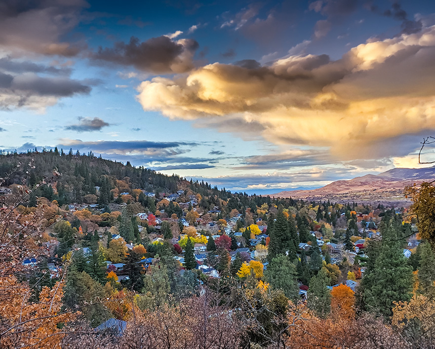 a landscape with trees and houses