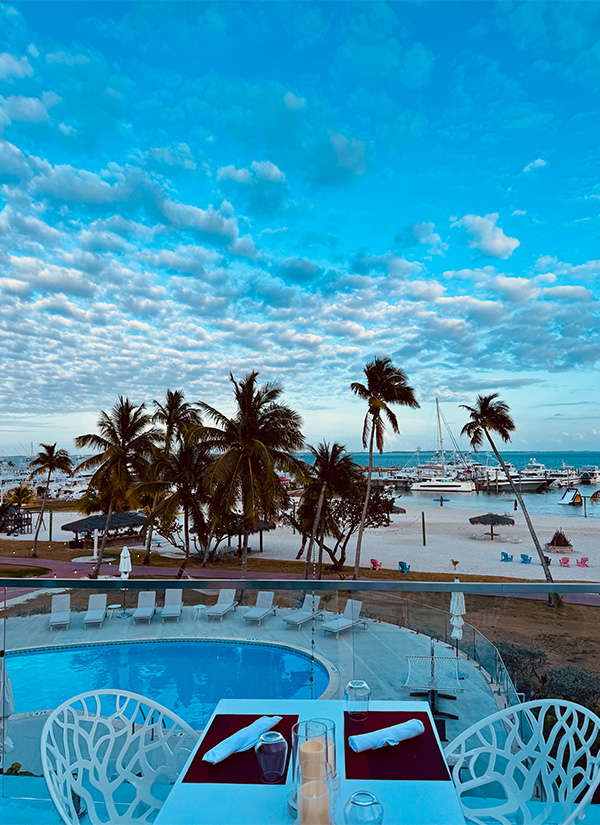 a pool and palm trees on a beach