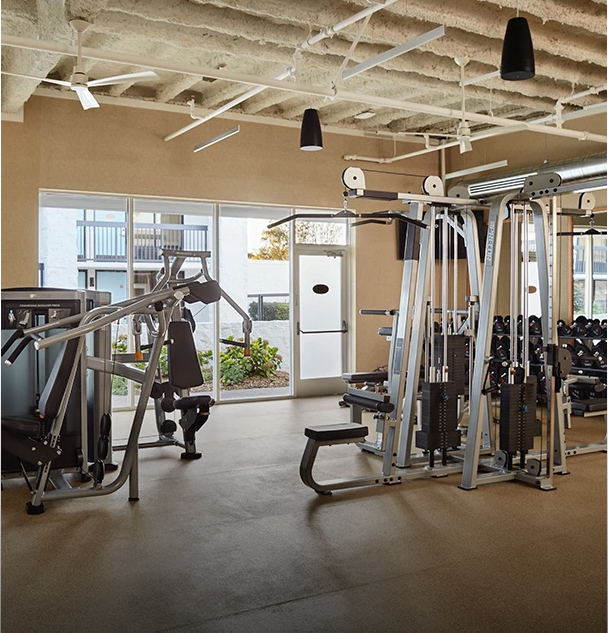 a gym with many exercise equipment