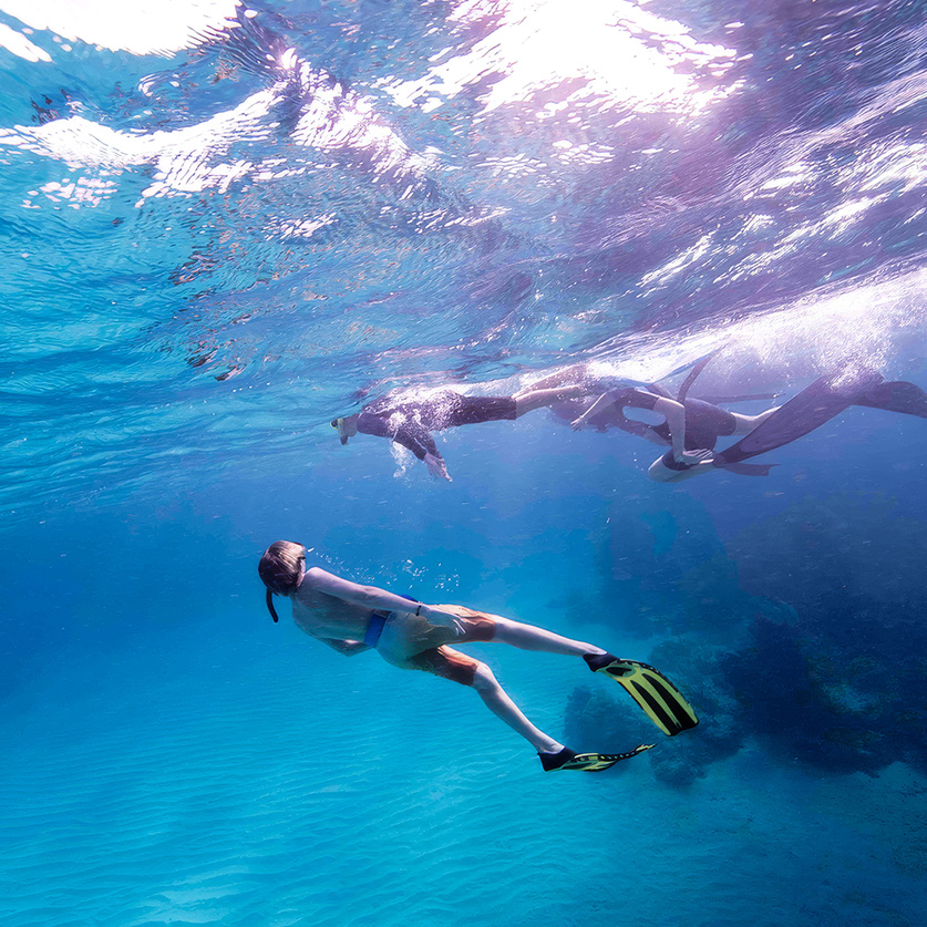 people snorkeling in the water