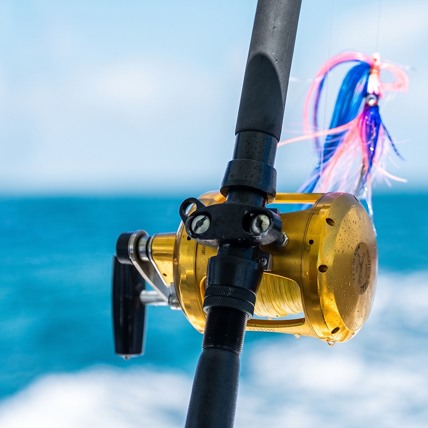 a fishing rod with a fishing lure