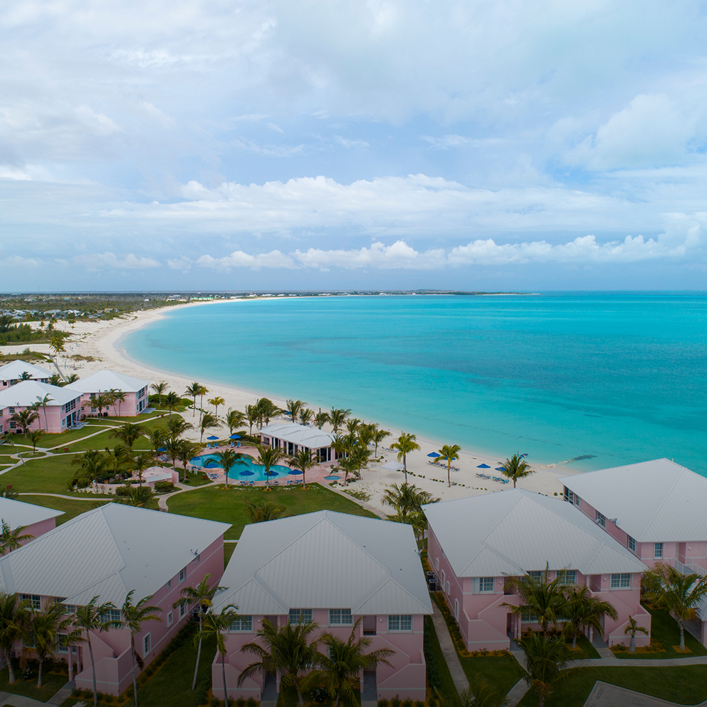 a beach with houses and palm trees