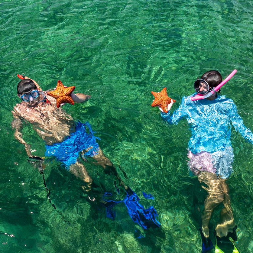 two people in the water with snorkeling gear and a starfish