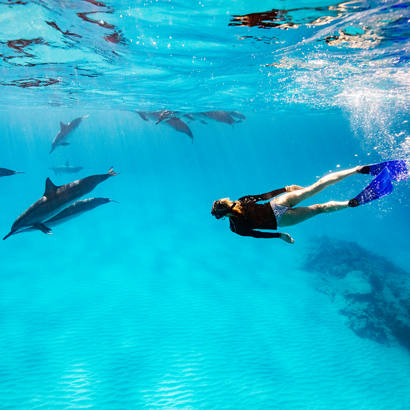 a woman swimming with dolphins in the water