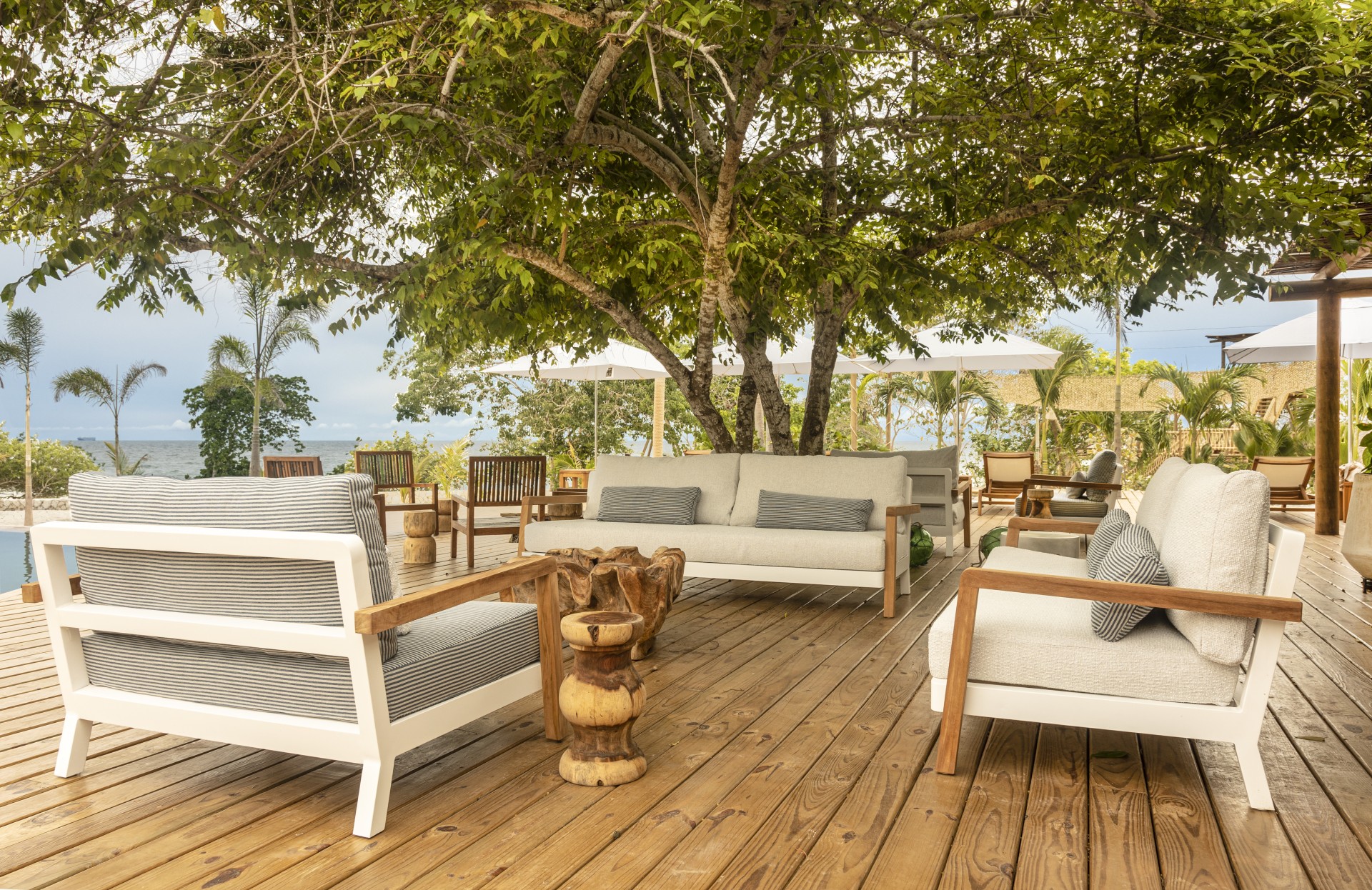 a patio with chairs and umbrellas under a tree