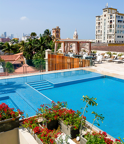 a pool with flowers and chairs on top of a building