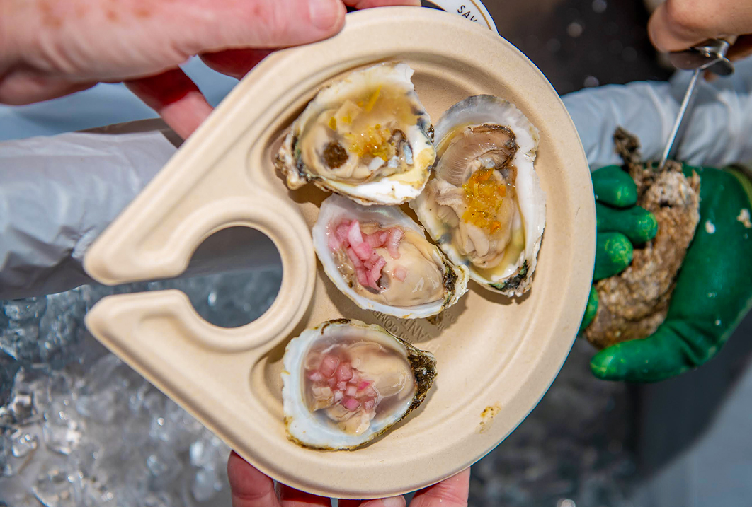 a plate of oysters with a couple of shells
