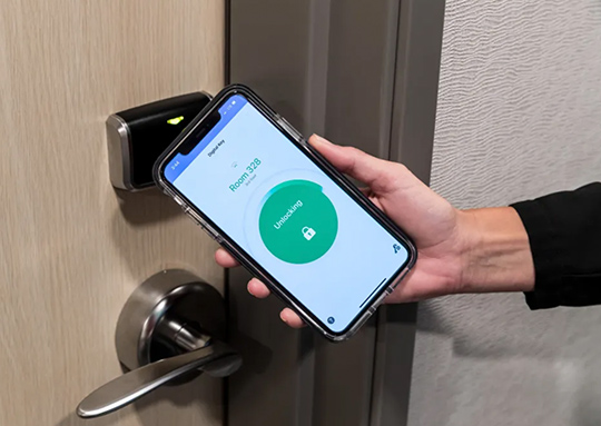 a hand holding a phone