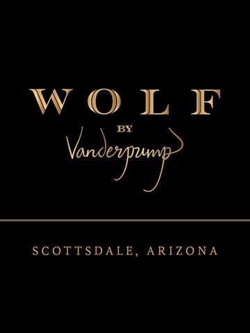 a black and gold logo