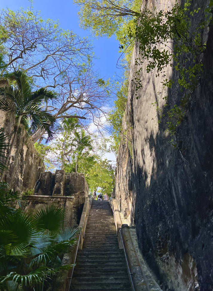 a stone stairs leading up to a cliff