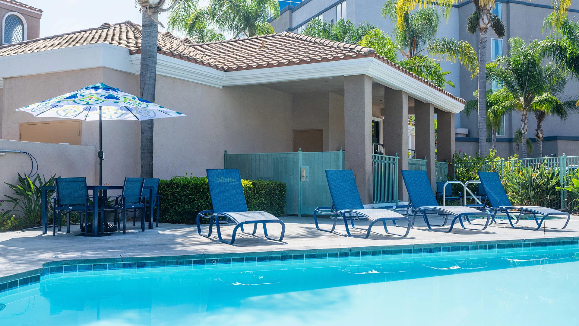 A poolside scene with blue lounge chairs, a pool, and palm trees.