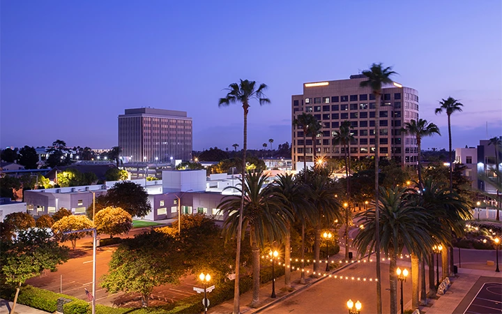 A cityscape at dusk with palm trees and street lights.