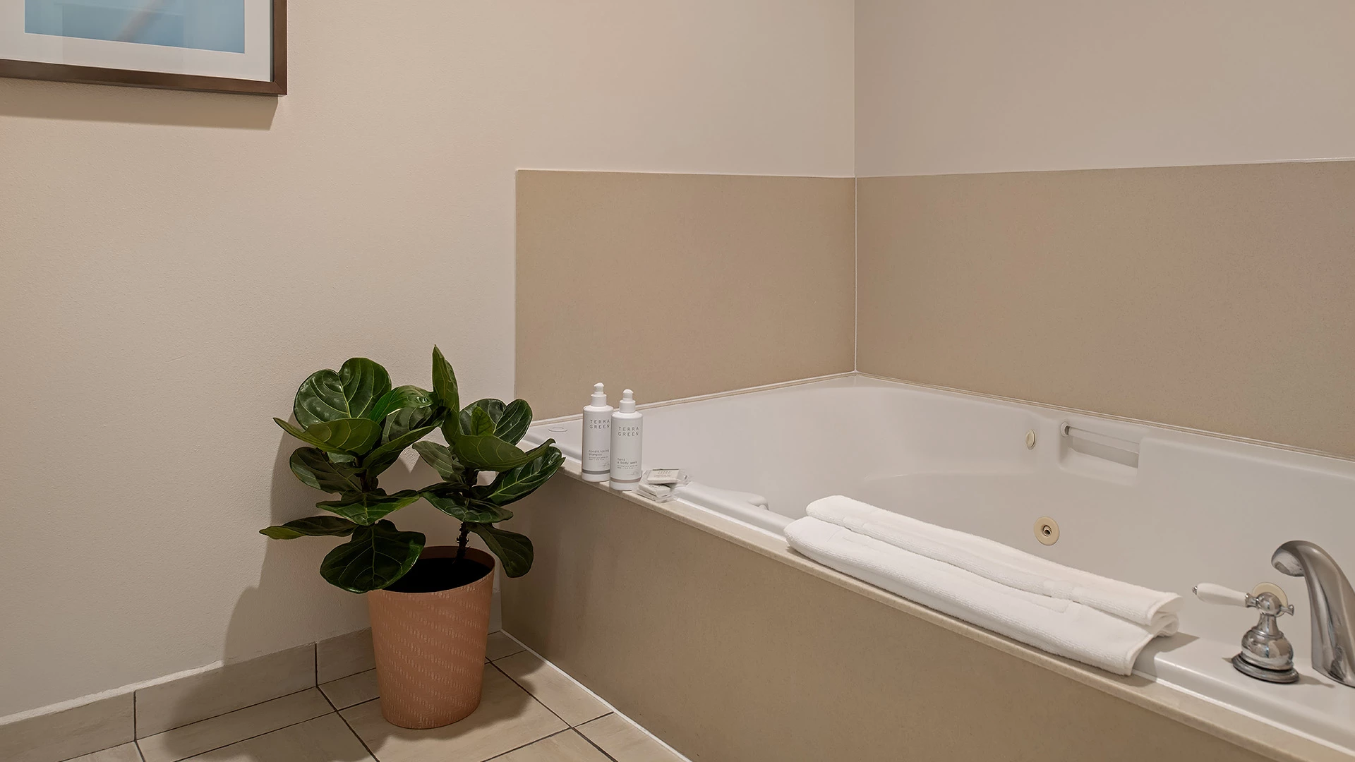 Cortona Inn and Suites Anaheim Resort — photo 38 of 60