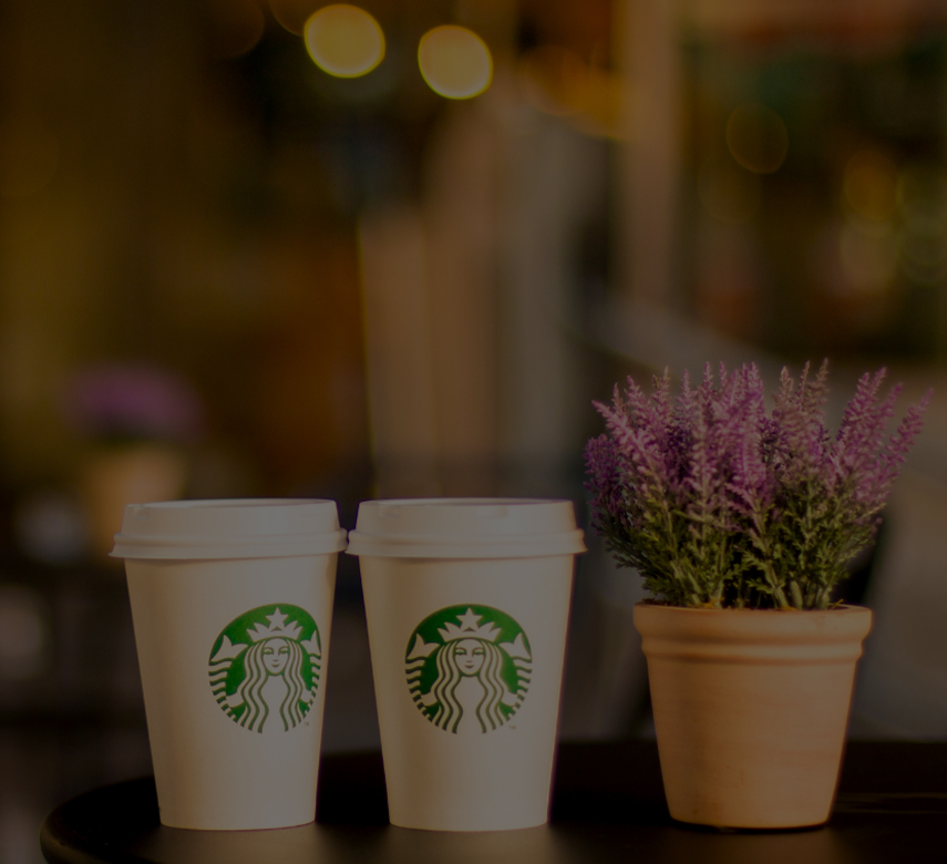 two cups of coffee next to a plant