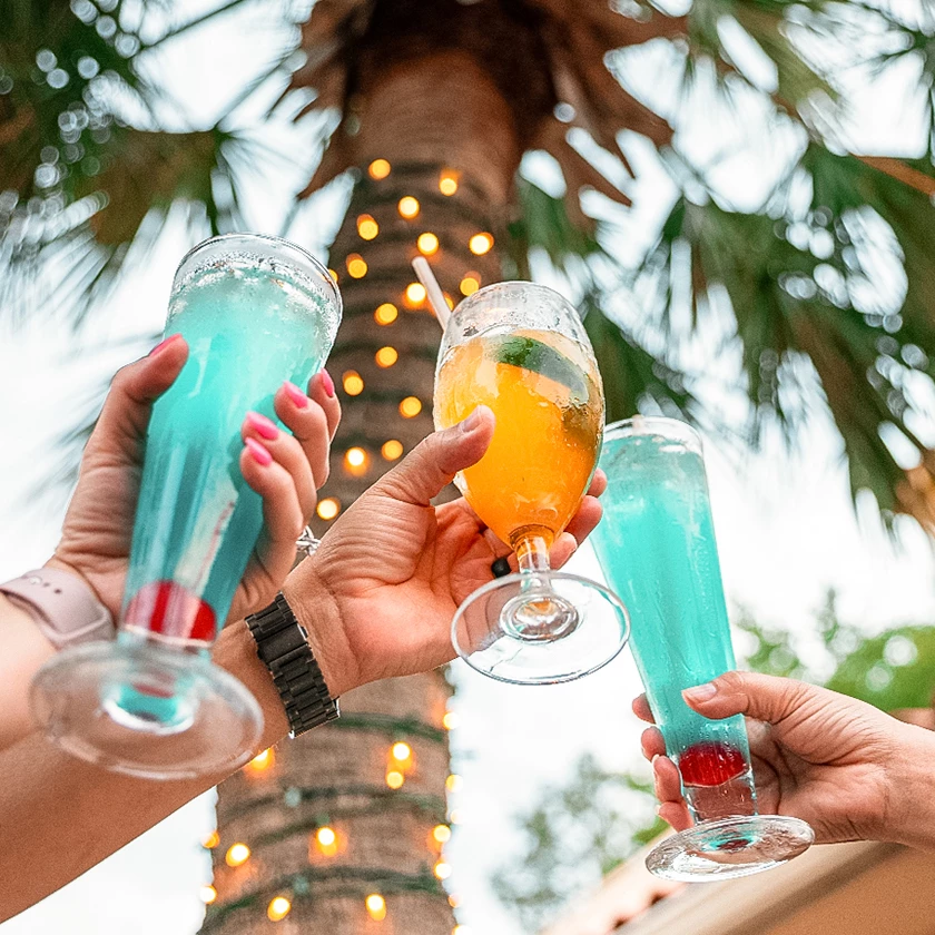 a group of hands holding drinks