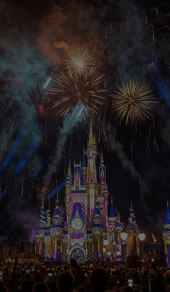 fireworks in the sky above a castle