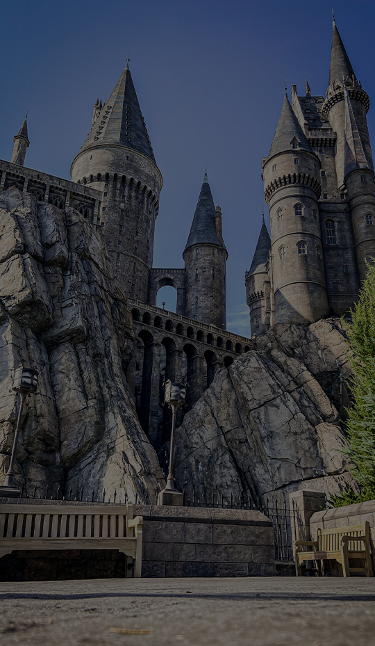 a castle on a rocky hill