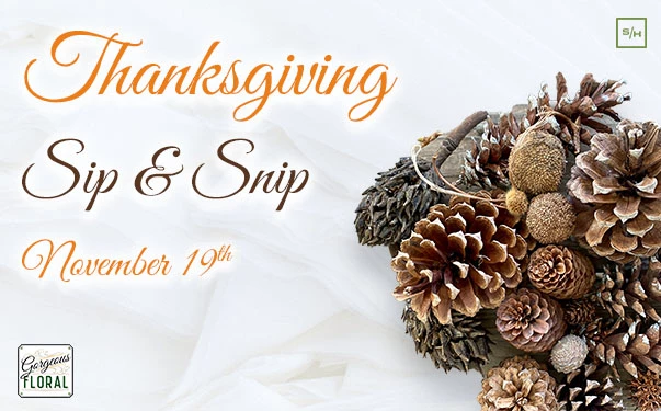 a group of pine cones