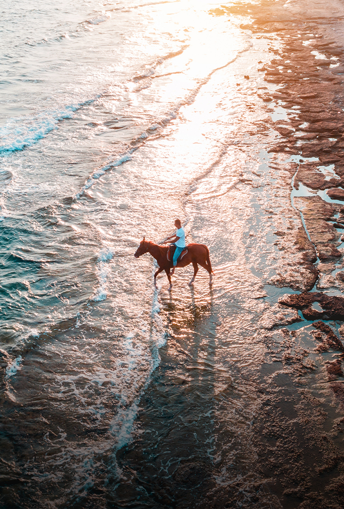 a person riding a horse on a beach