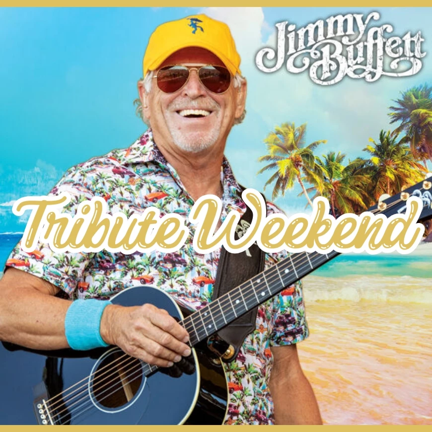 a man with a guitar on a beach