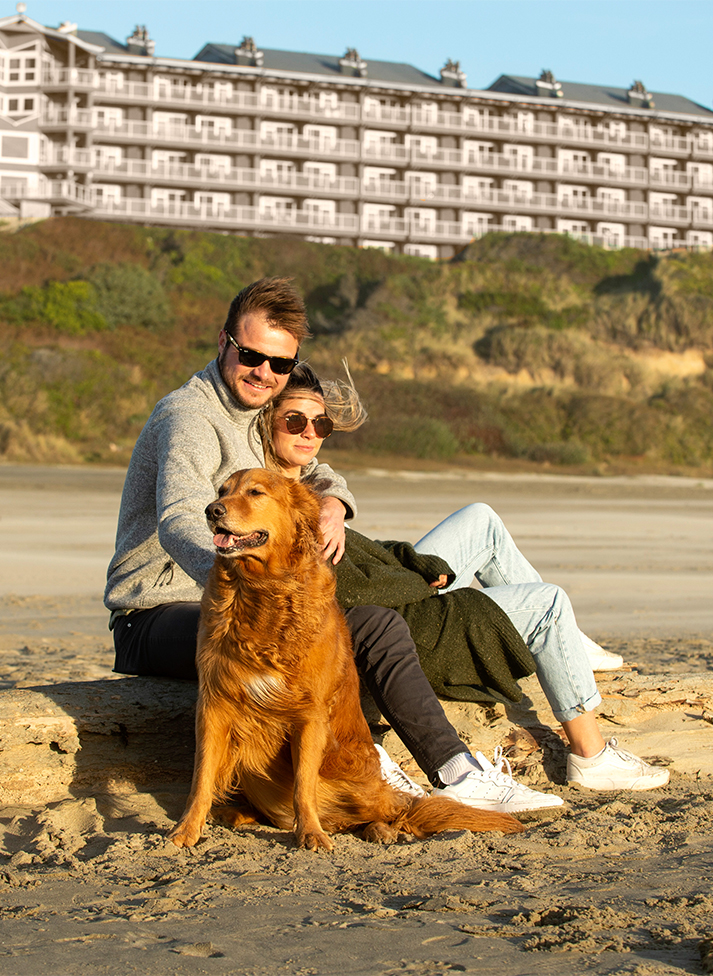 a man and woman sitting on a log with a dog on a beach