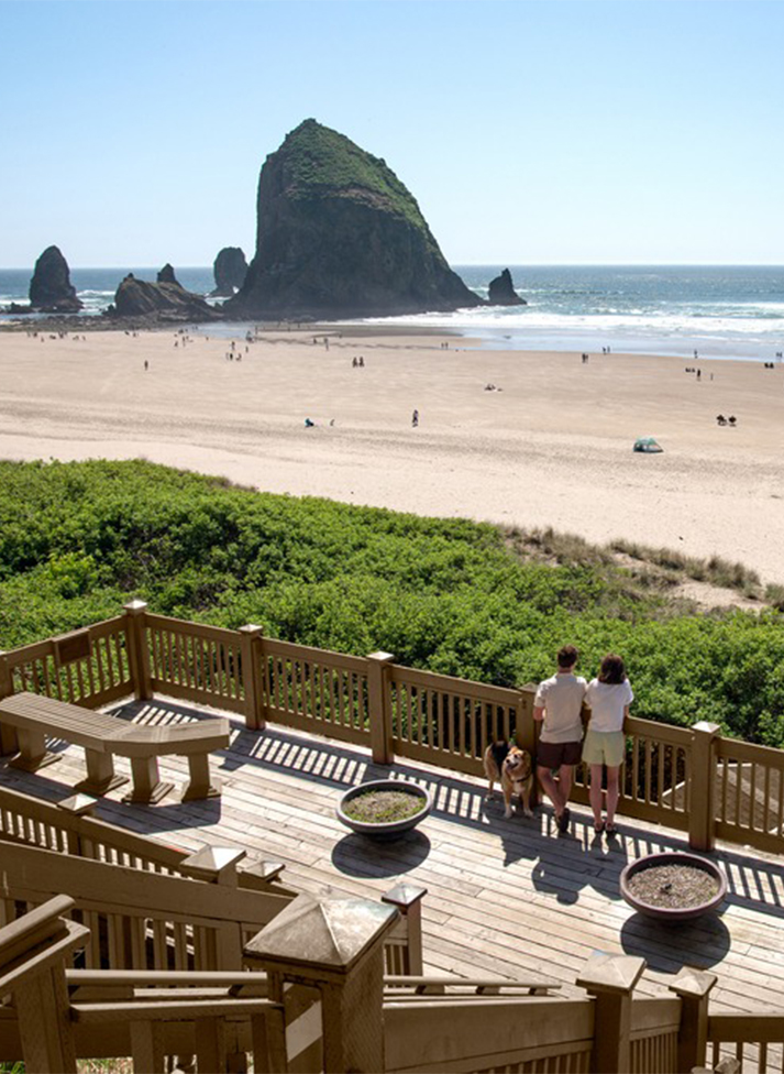 a couple of people and dogs on a deck overlooking a beach