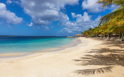 a beach with palm trees and blue water