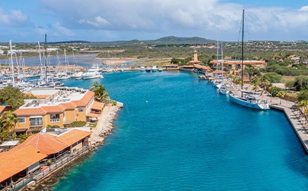 a marina with many boats and buildings