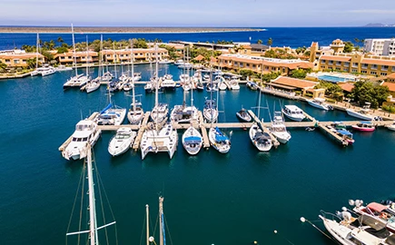 a group of boats in a harbor