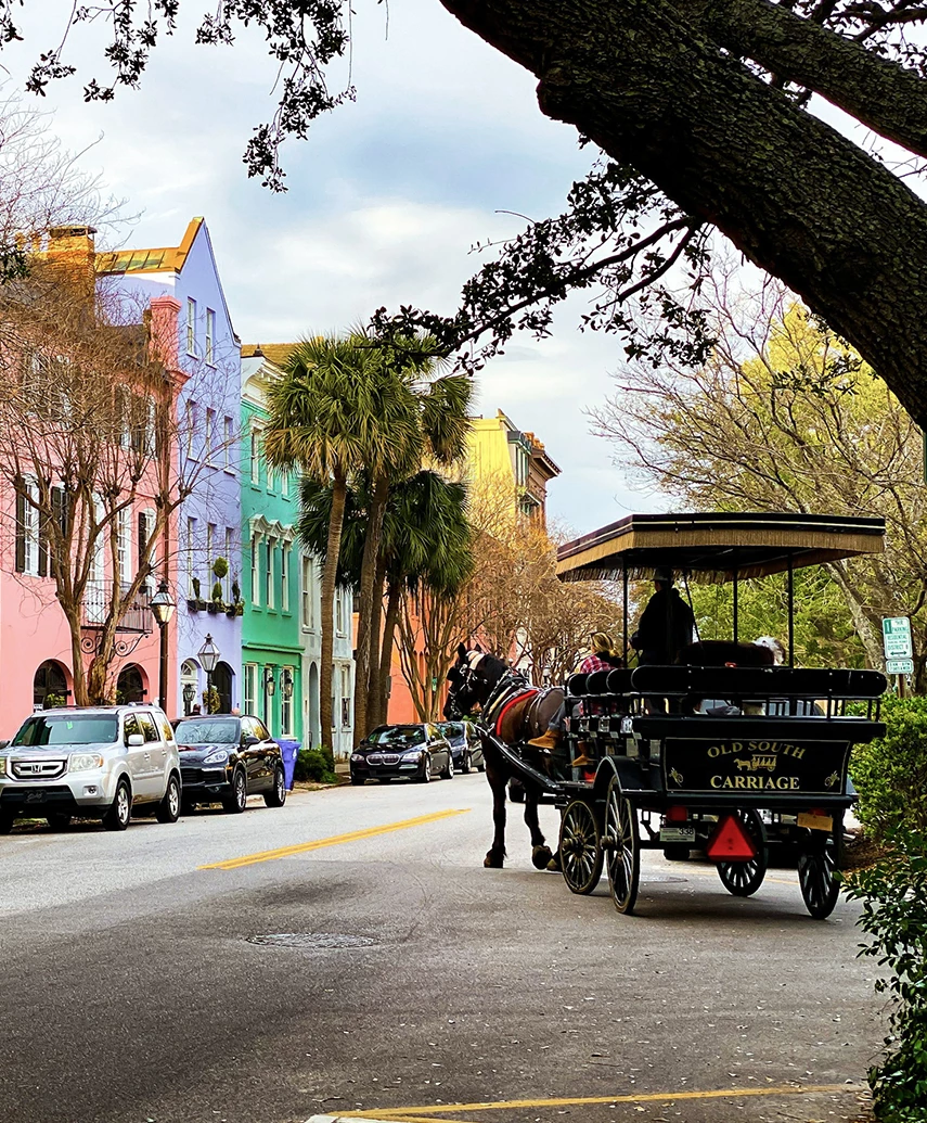 a horse carriage on a street