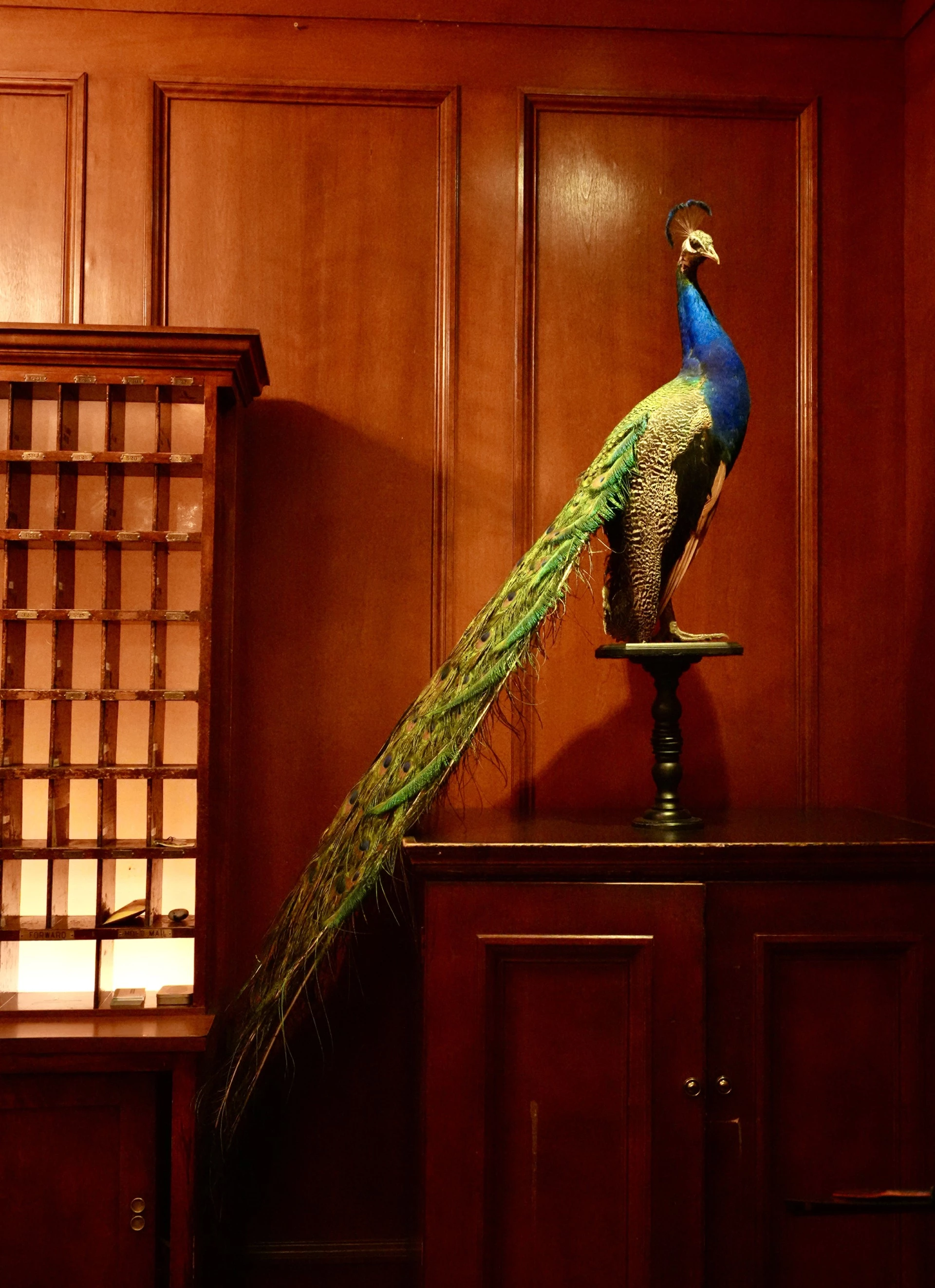 Hotel Sorrento — photo 30 of 60