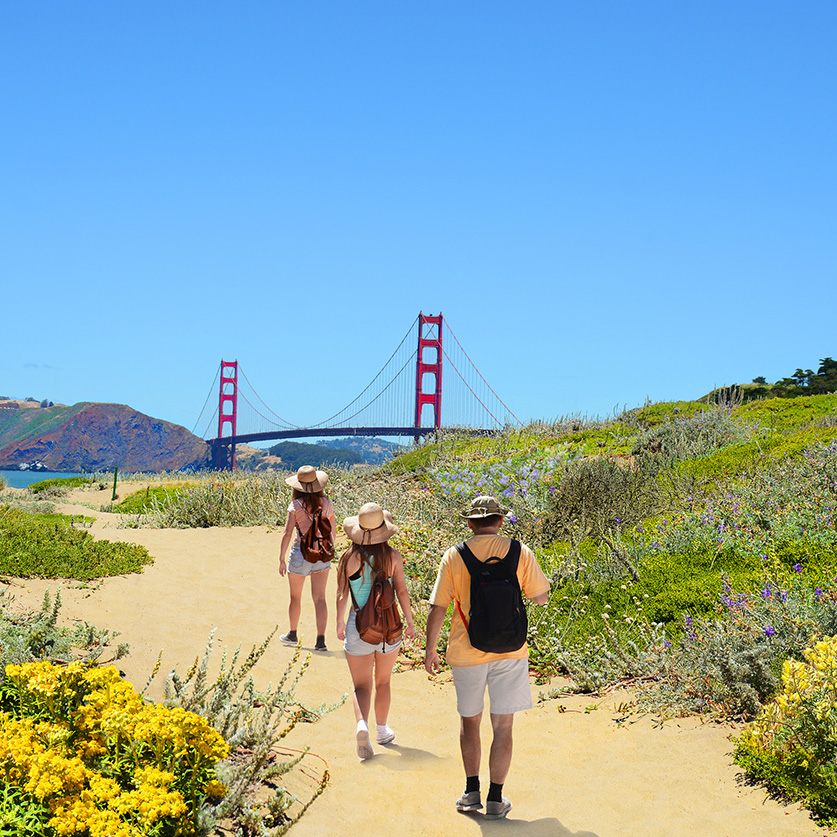 a group of people walking on a path with a bridge in the background