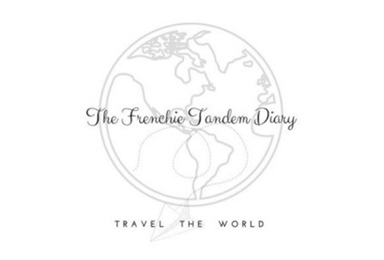 a logo for a travel diary
