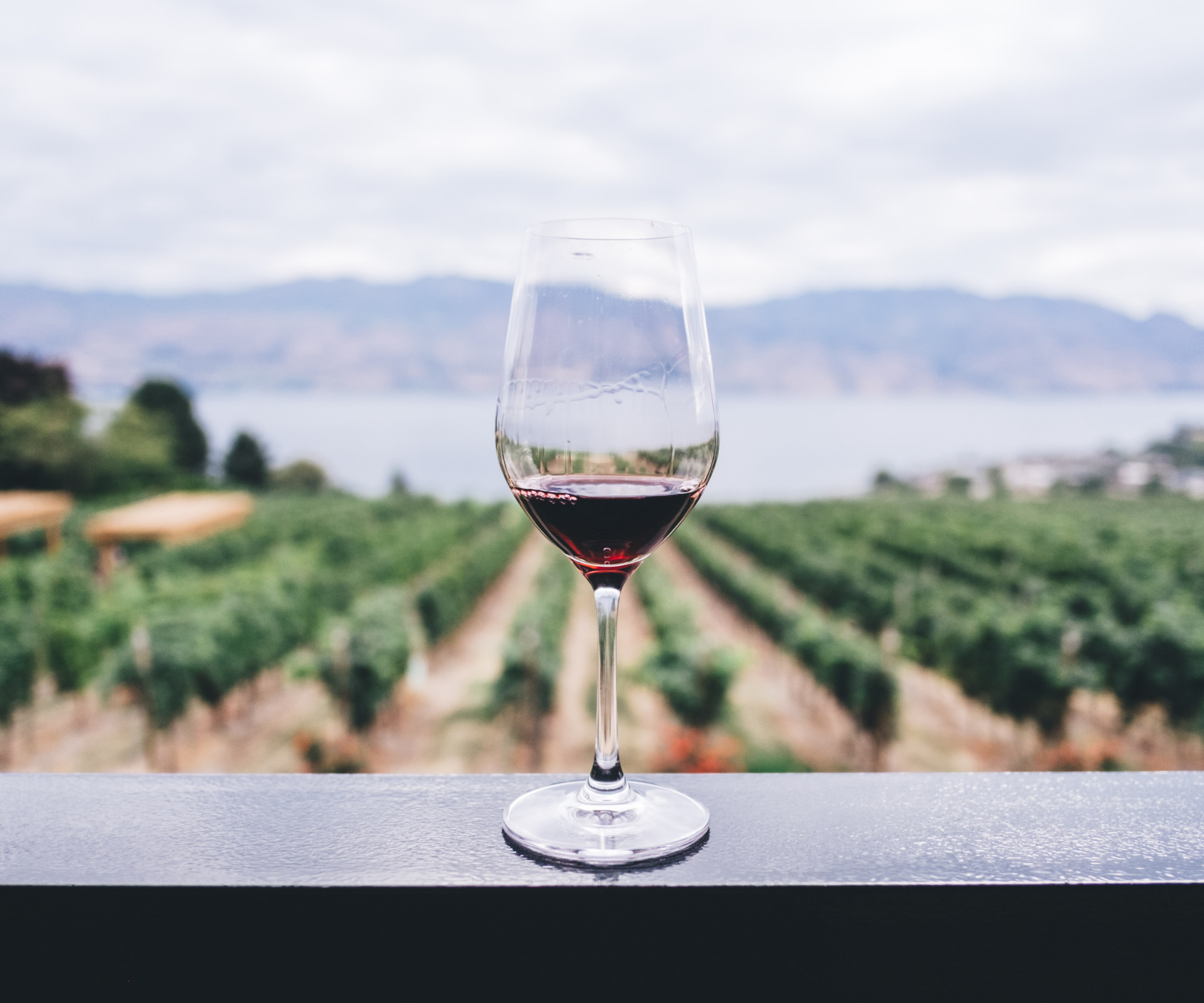 a glass of wine on a ledge
