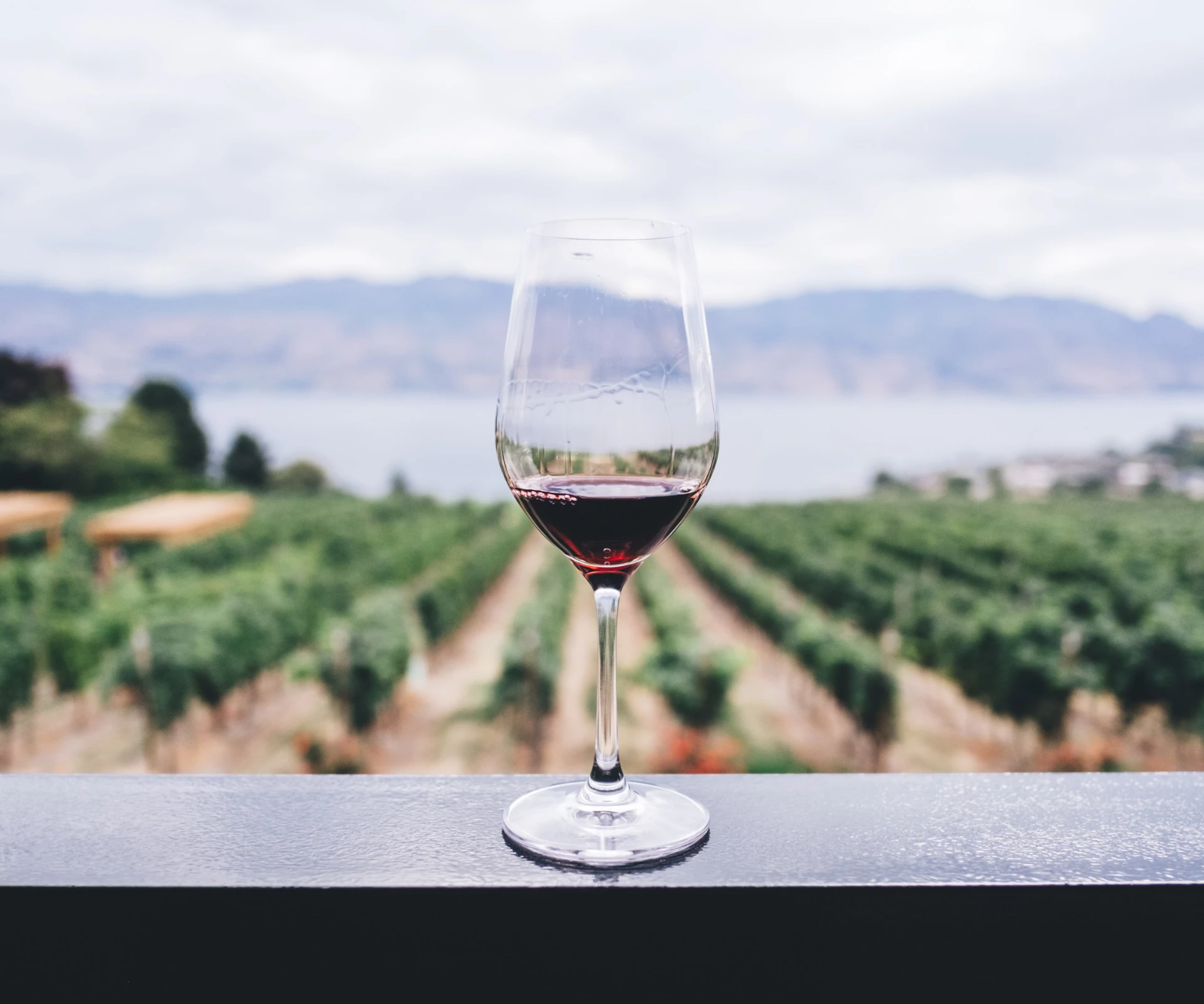 a glass of wine on a ledge