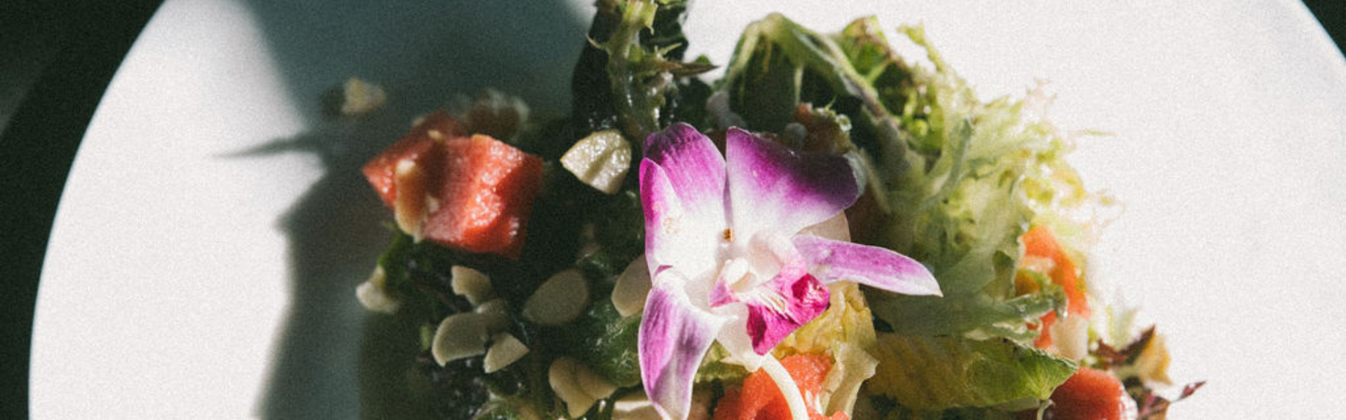 a close up of a flower