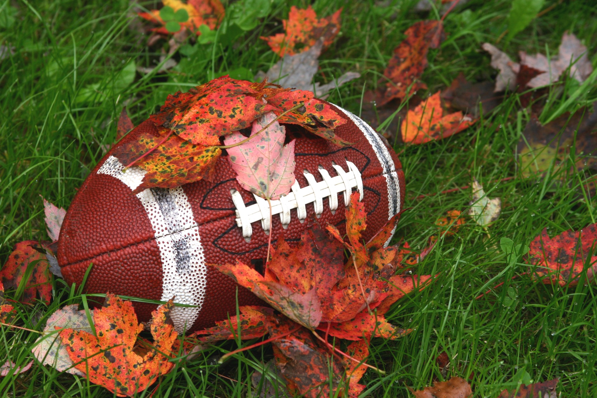 a football in the grass