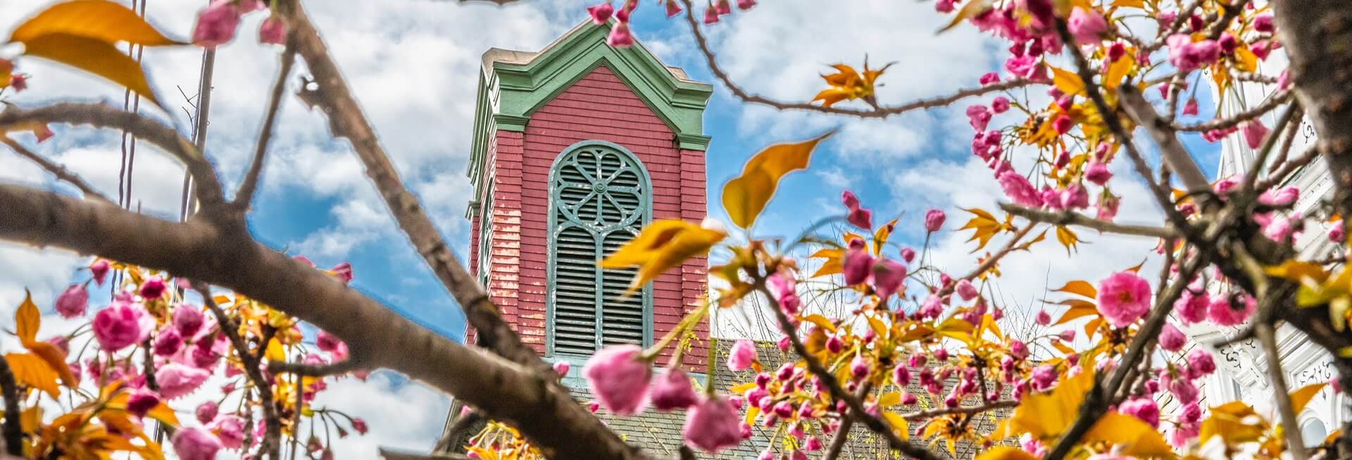 a pink and green building with a bell tower