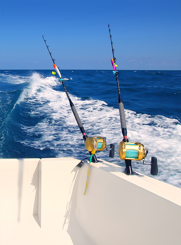 fishing rods on a boat