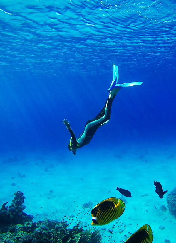 a person in a scuba suit swimming with fins