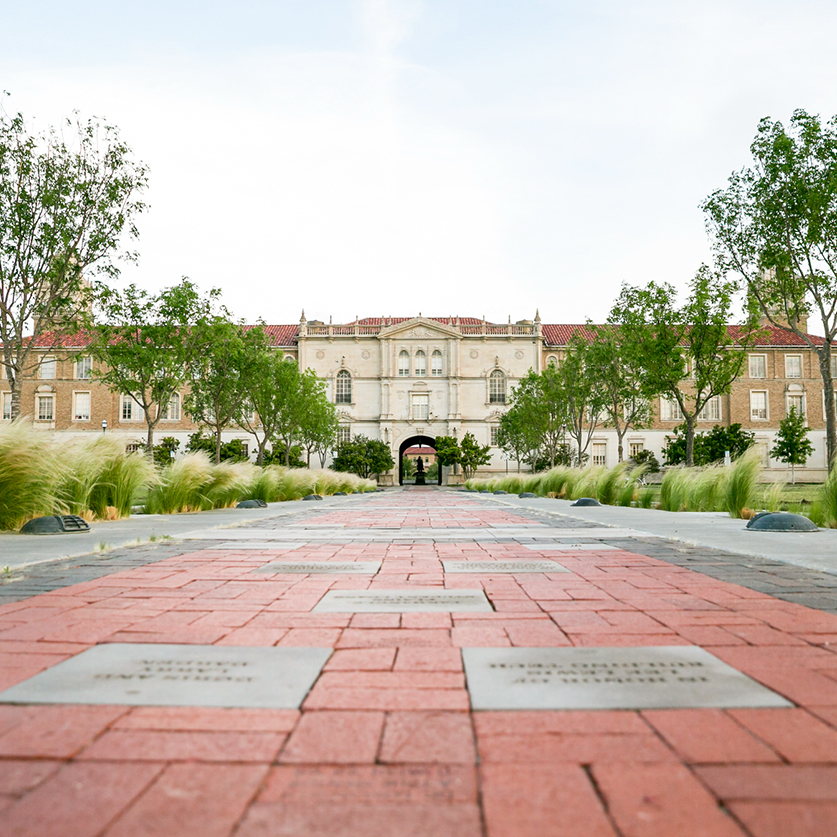 a brick walkway with trees and grass in front of a building